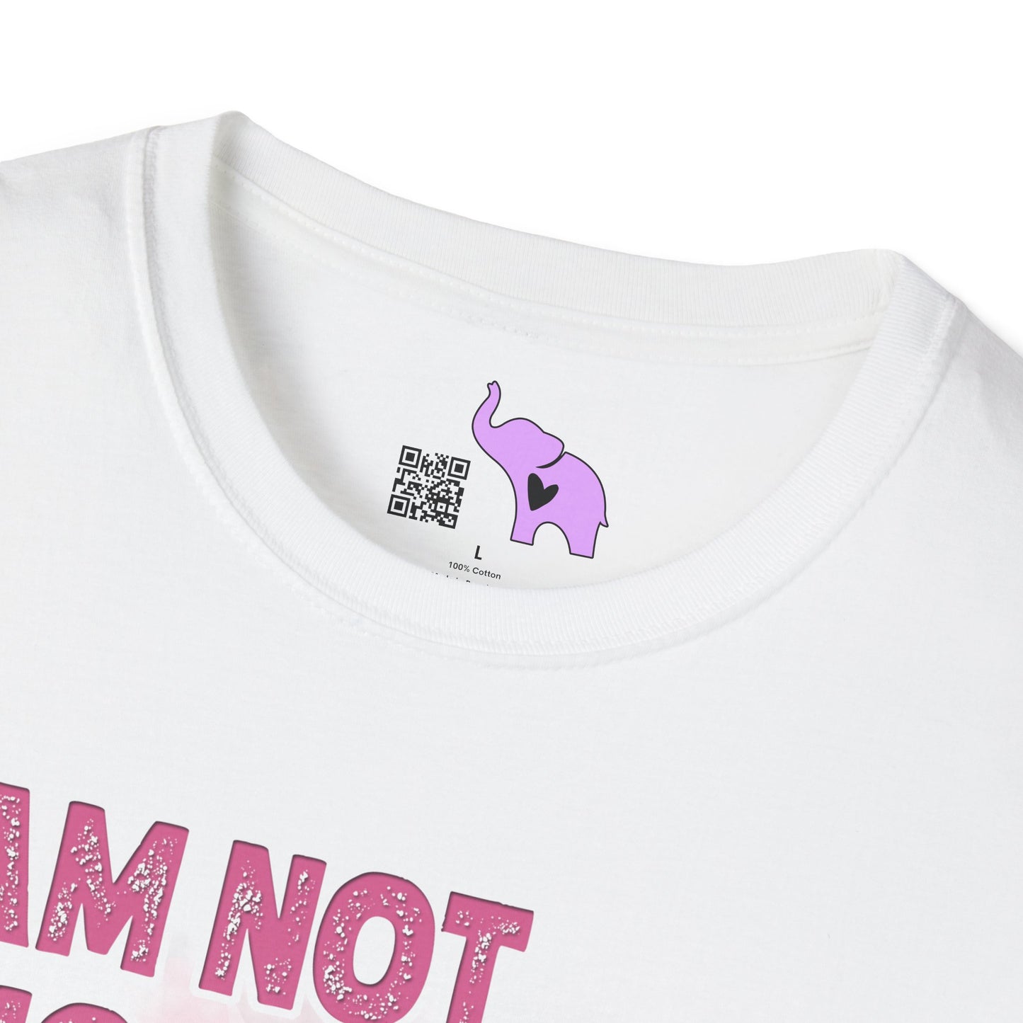 I'm Not Most Girls I Am A Veteran Adult T-Shirt
