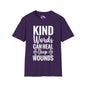 Kind Words Can Heal Deep Wounds Adult T-shirt