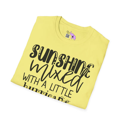 Sunshine Mixed With A Little Hurricane Adult T-shirt