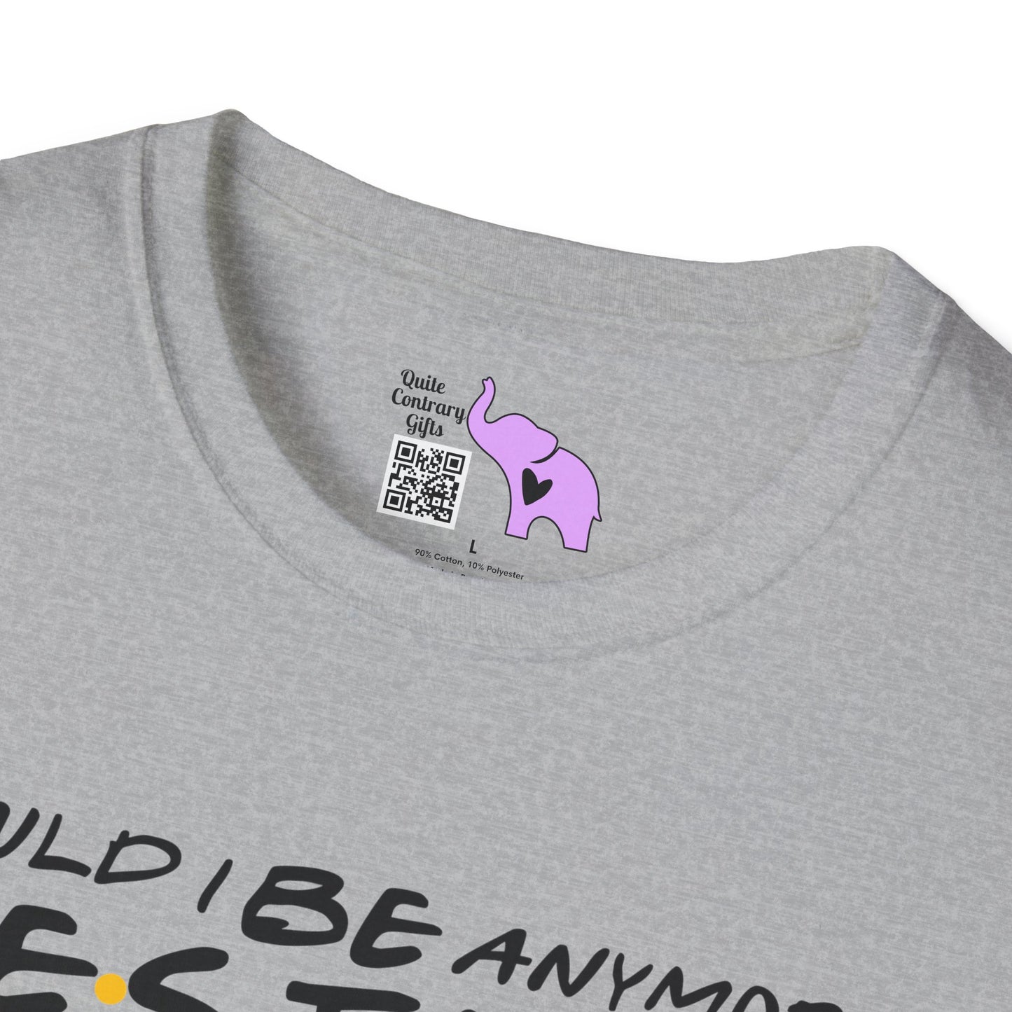 Could I BE Anymore Festive? (Friends, Phoebe's Christmas Song) Adult T-shirt