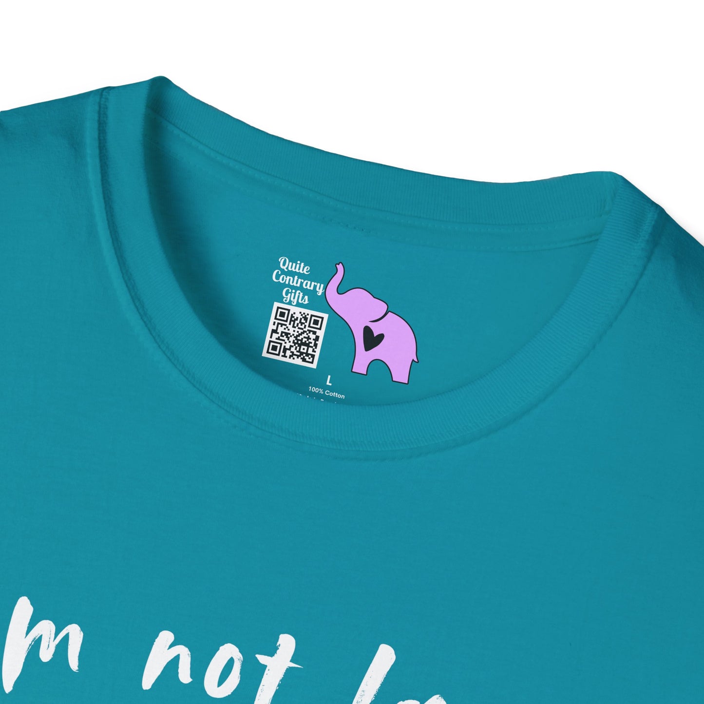 I'm Not Lazy, I'm Just In Energy Saving Mode Adult T-shirt