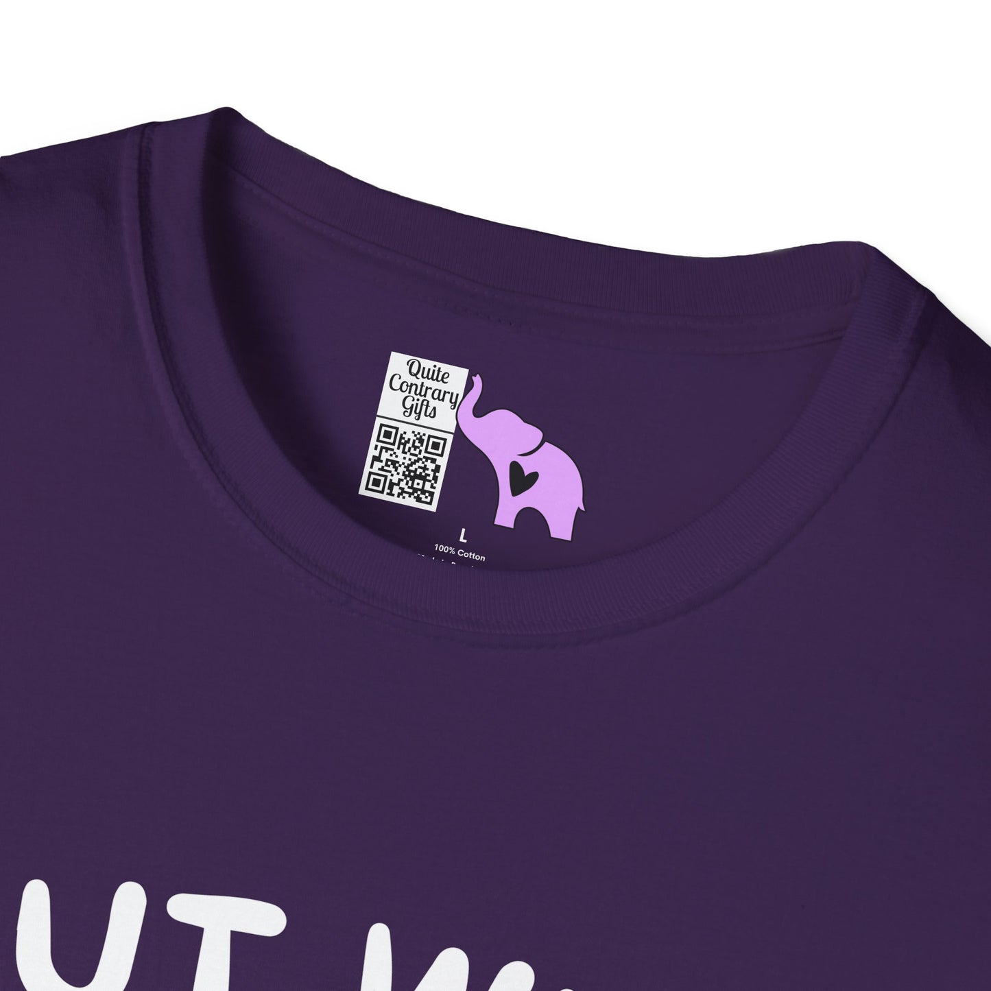 But Why Would You Want To Be Like Anyone Else? (Panda) Adult T-shirt
