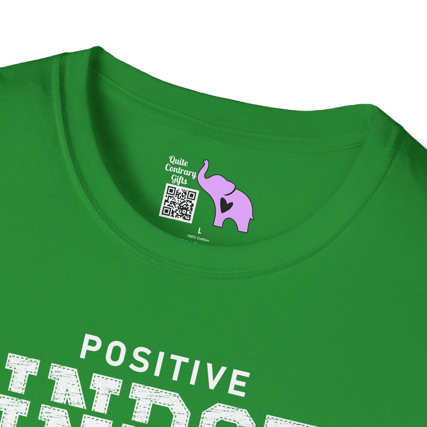 Positive Mindset Is Everything Adult T-shirt