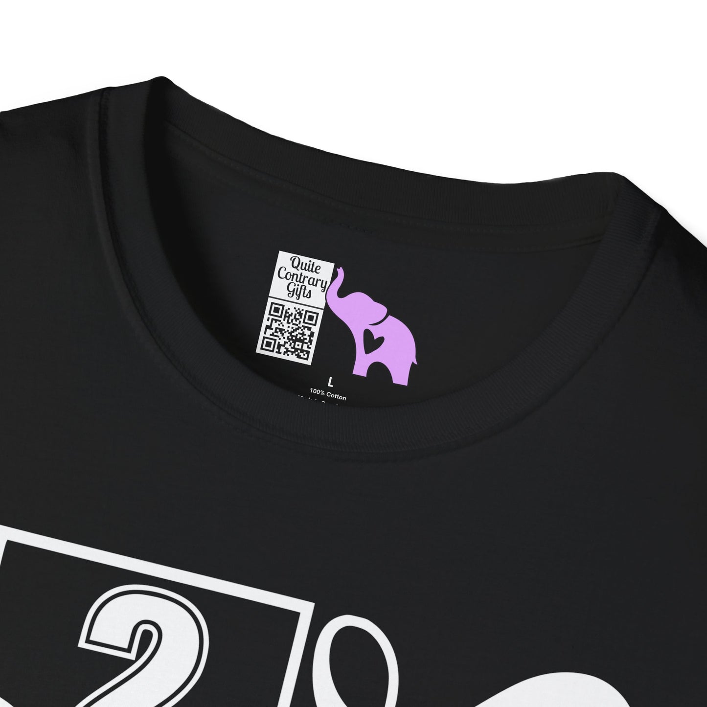 Vertical Class of 2027 Senior Adult T-shirt
