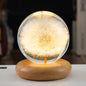 Flower Crystal Ball Night Lamp With Wooden Base