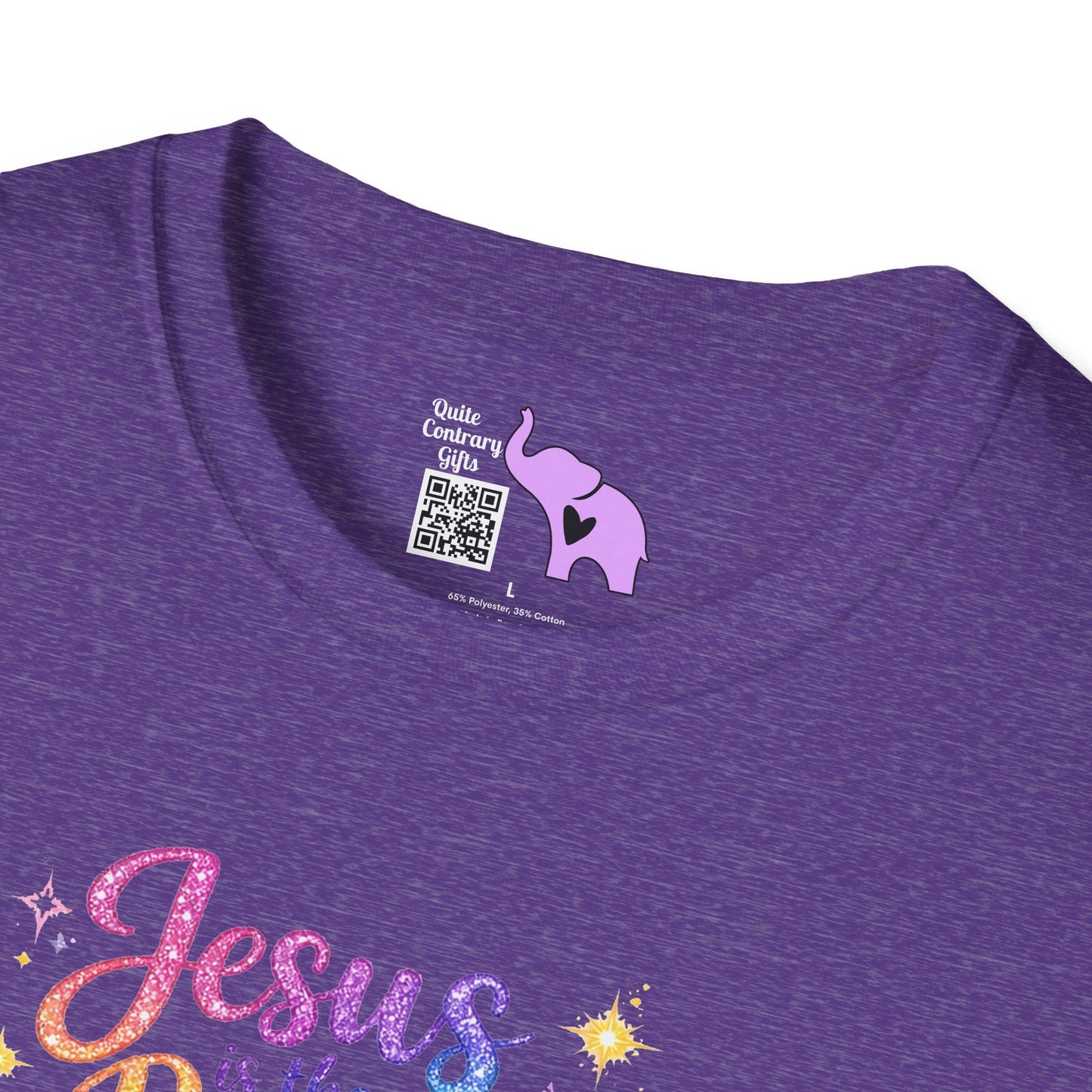 Jesus Is The Reason Adult T-shirt