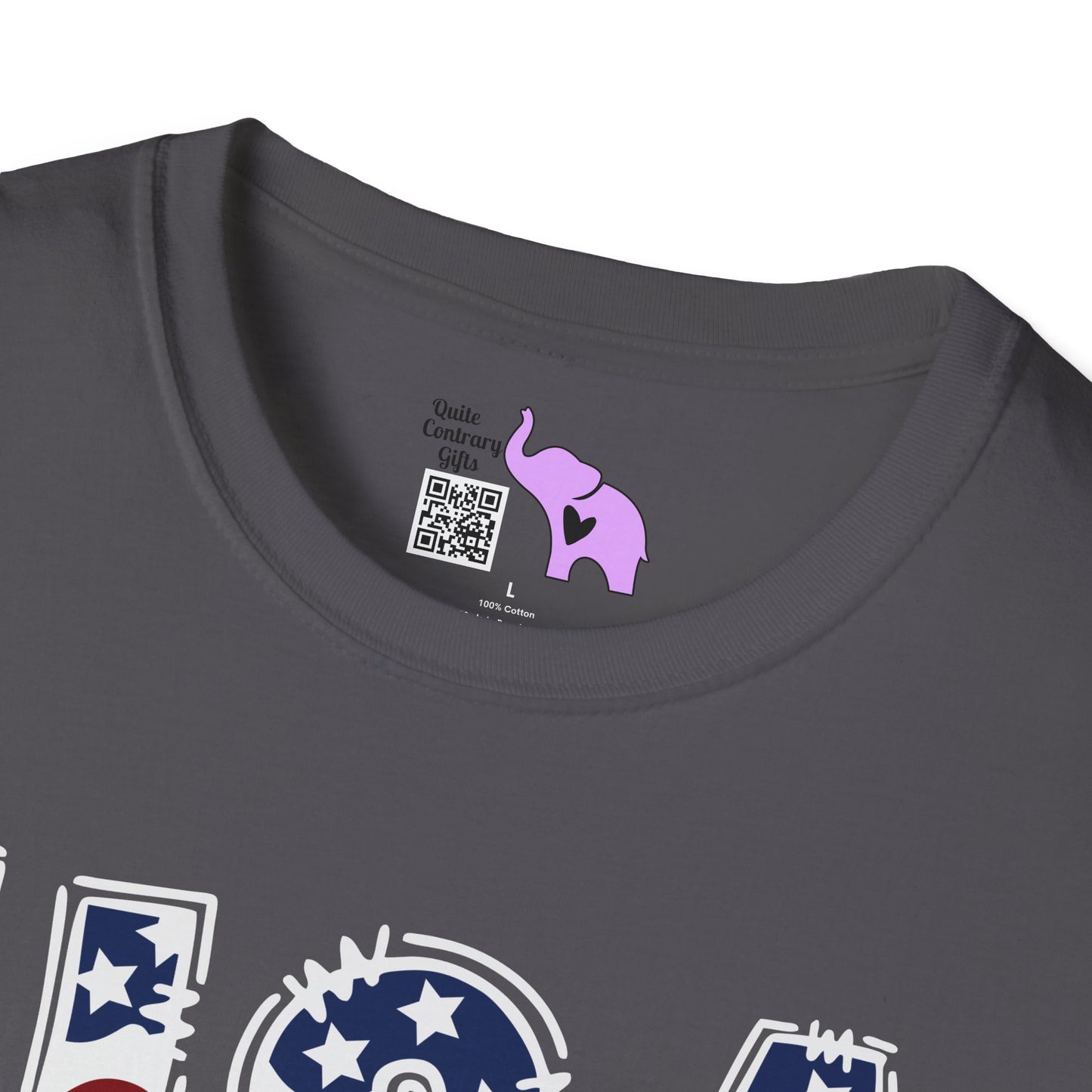 USA in Style Adult T-shirt