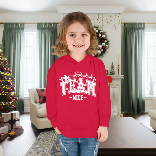 Team Nice Toddler Hoodie