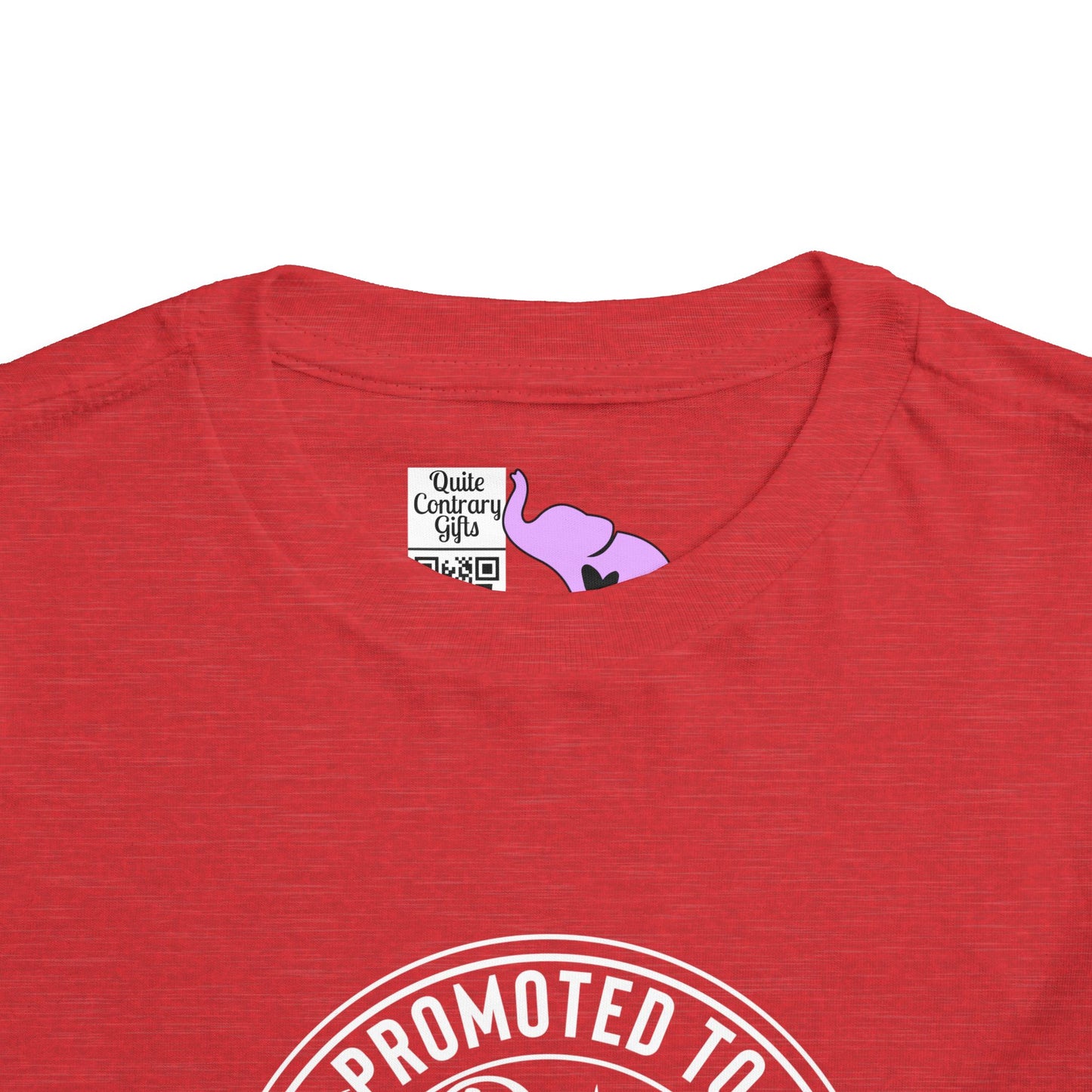 Promoted to Big Brother Again (Circle) Toddler Tee