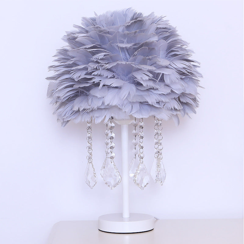 Decorative Feather Lamp w/Crystals