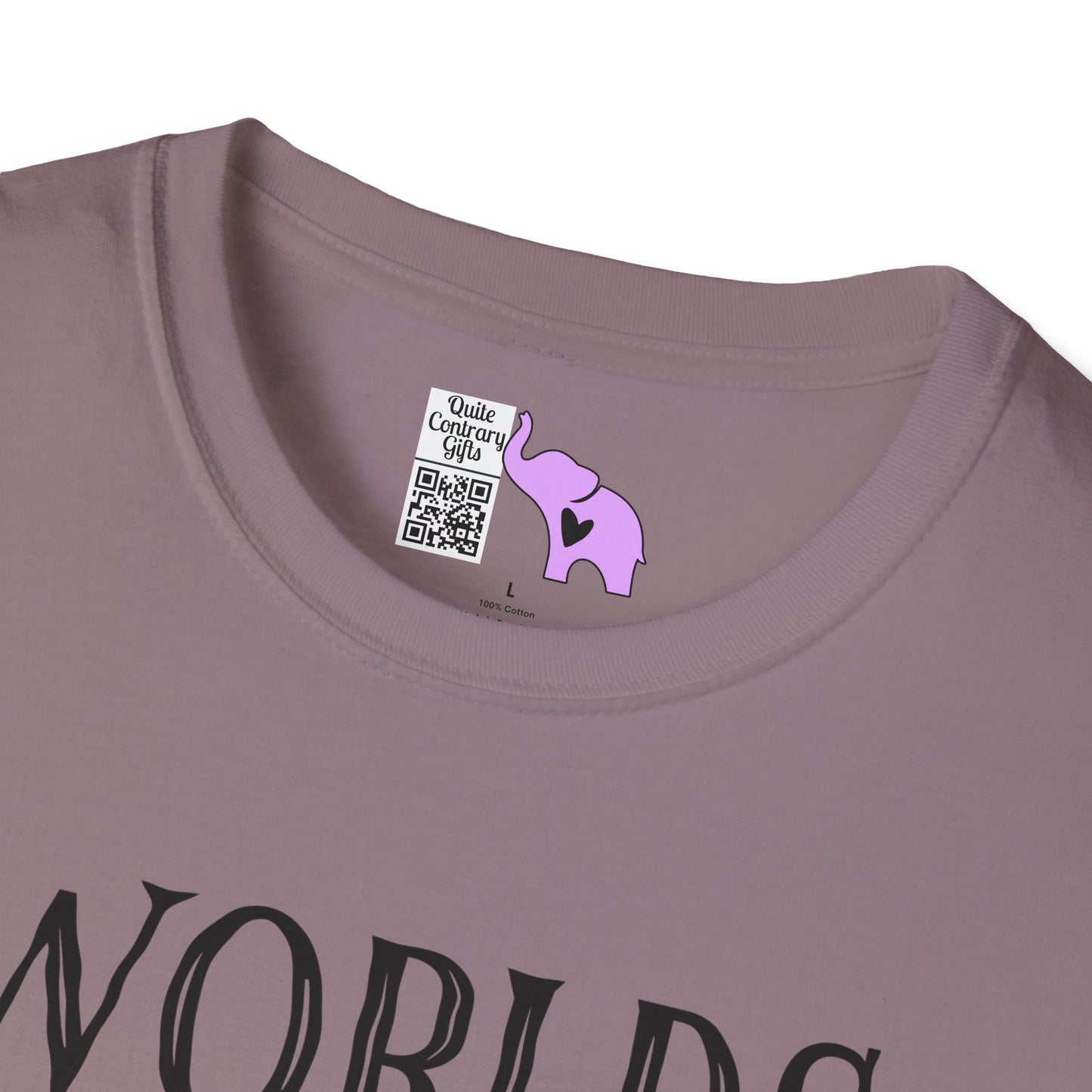 Worlds Okayest Dad Adult T-shirt