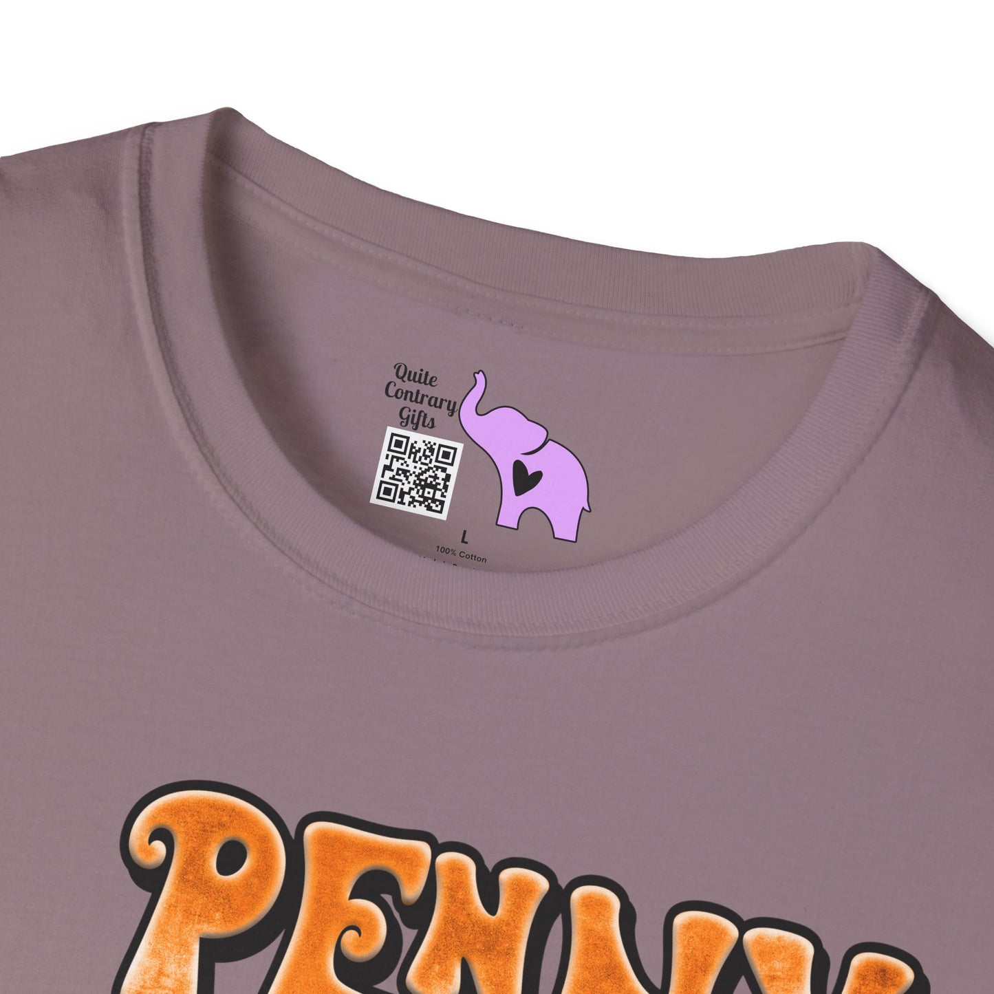 A Penny For Your Thoughts Adult T-shirt