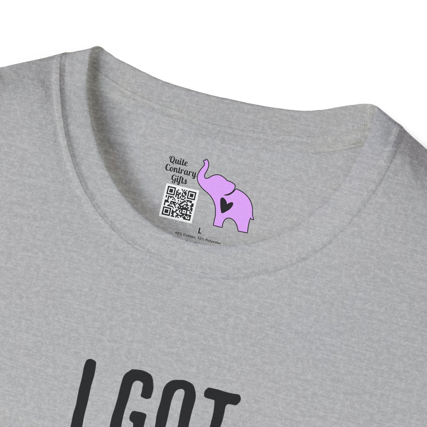 I Got Mood Poisoning Must Have Been Something I Hate Adult T-shirt