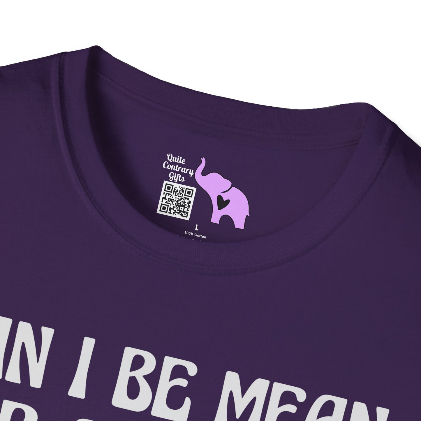 Can I Be Mean For A Second Adult T-shirt