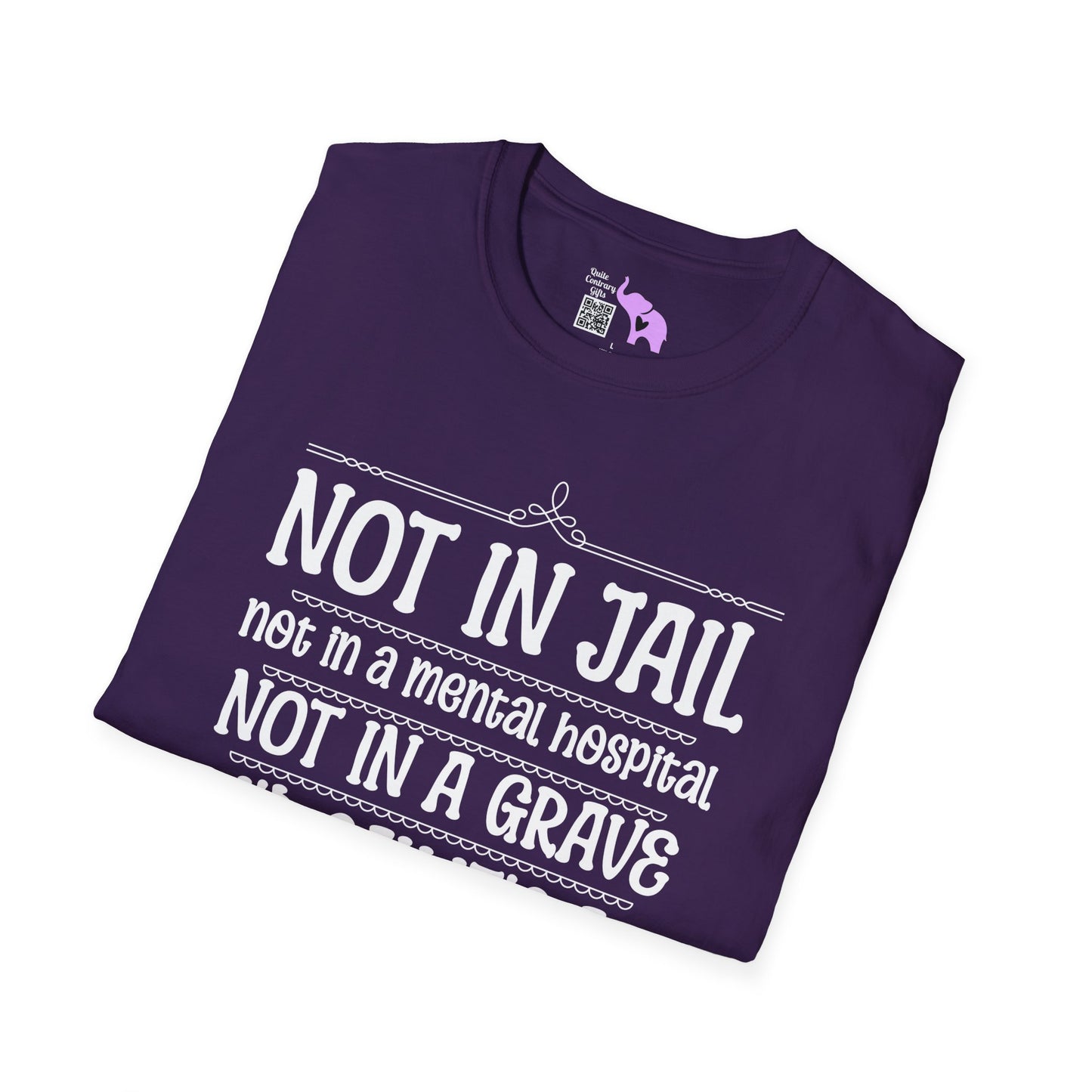 Not In A Jail/Mental Hospital/Dead I'd Say It's A Good Day Adult T-shirt