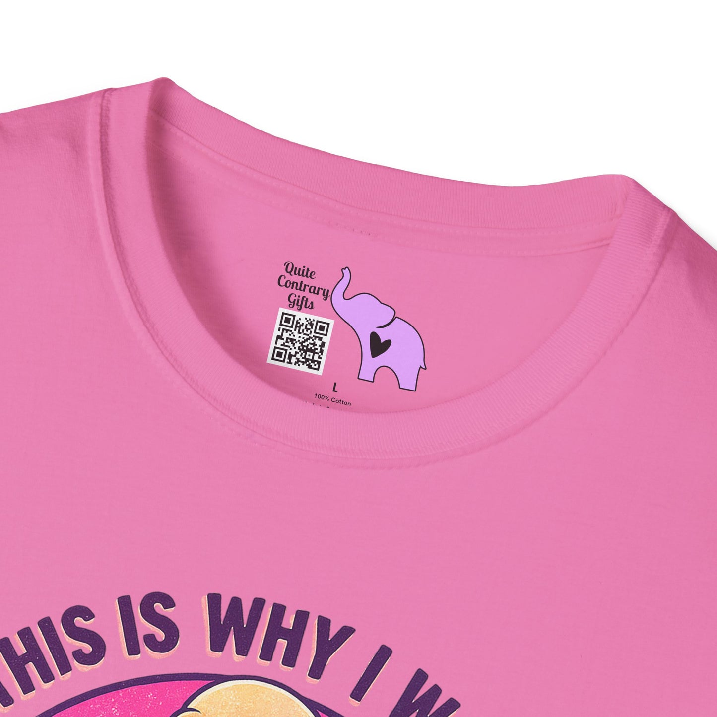 And This Is Why I Wanted To Stay Home All This Right Here Adult T-shirt