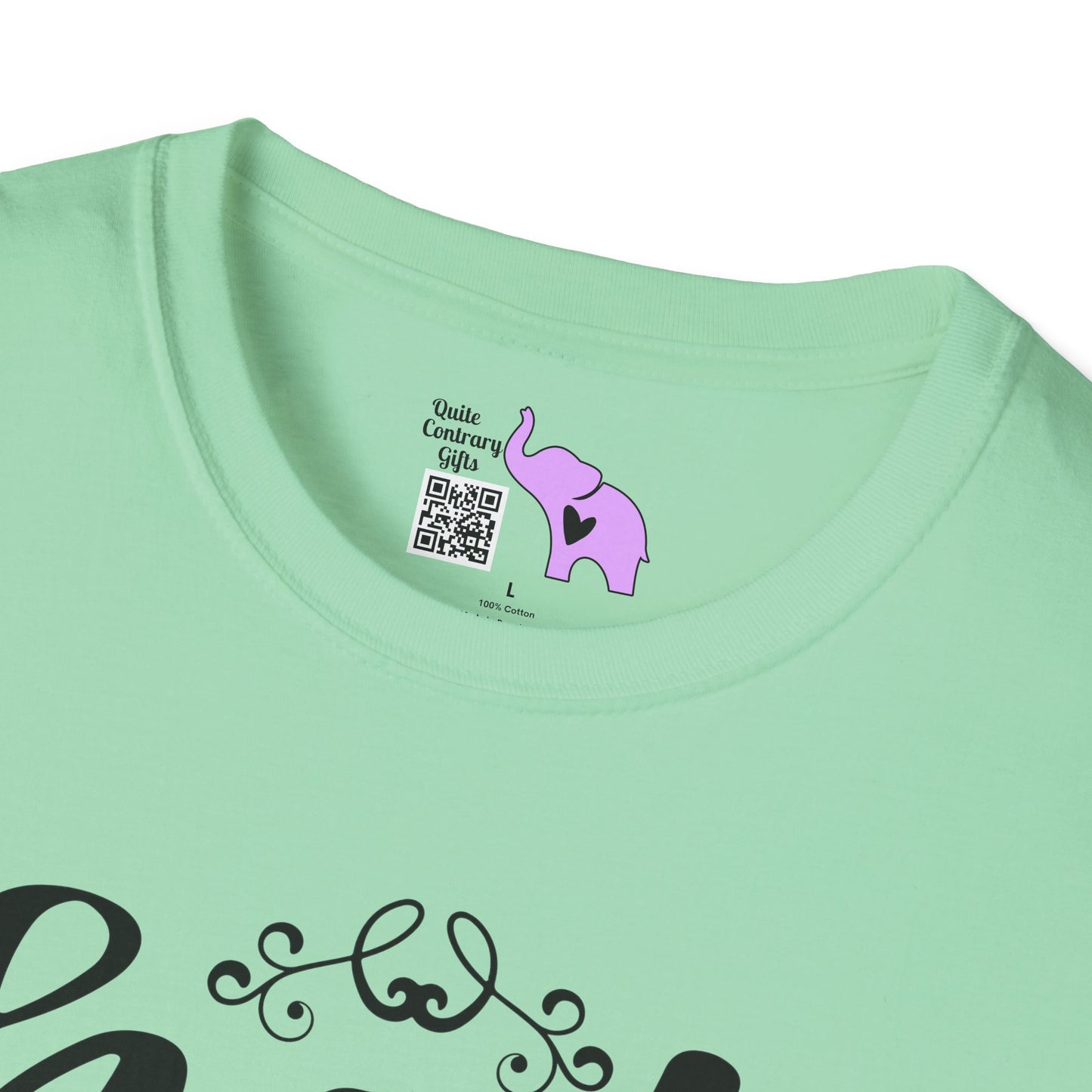 Hot Mess Express Adult T-shirt