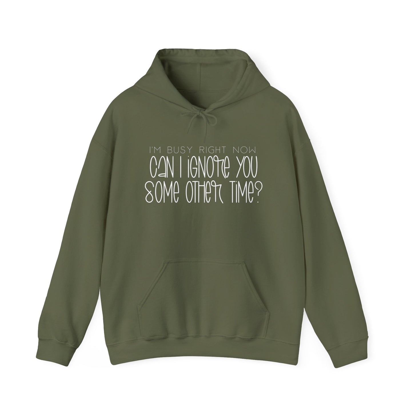 I'm Busy Right Now Can I Ignore You Later? Heavy Blend™ Hooded Sweatshirt