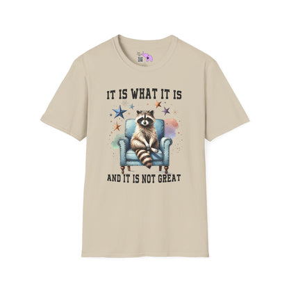 It Is What It Is And It's Not Great Racoon (2) Adult T-shirt
