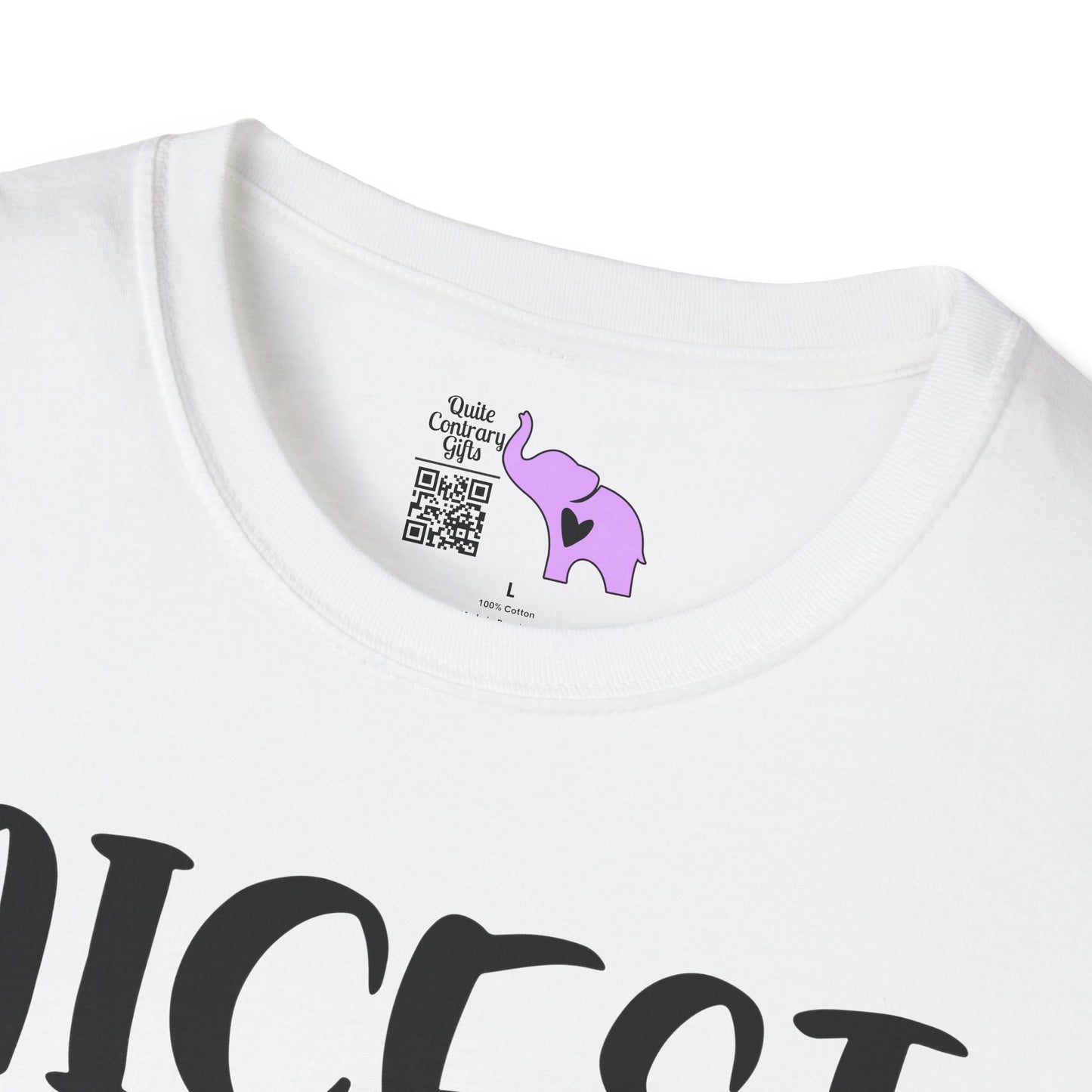 Nicest Mean Person Ever Adult T-shirt