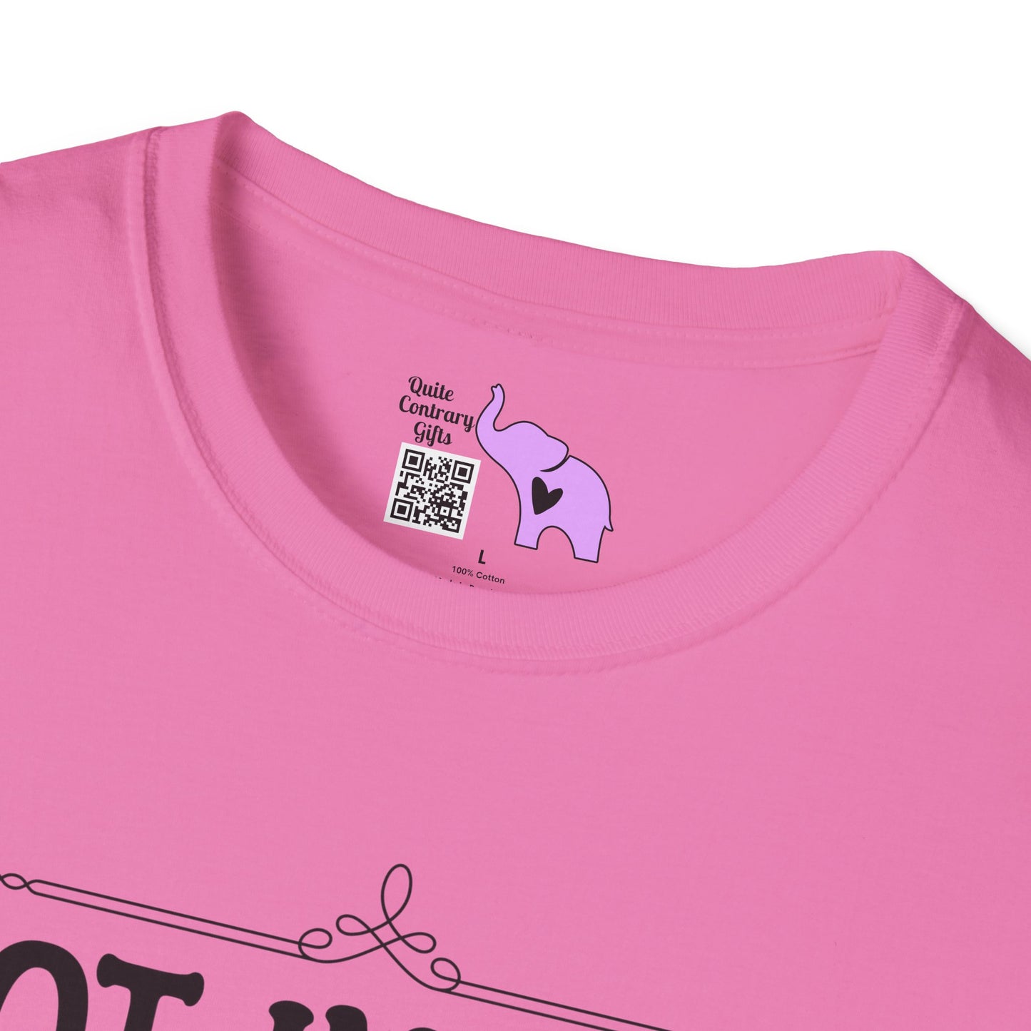 Not In A Jail/Mental Hospital/Dead I'd Say It's A Good Day Adult T-shirt