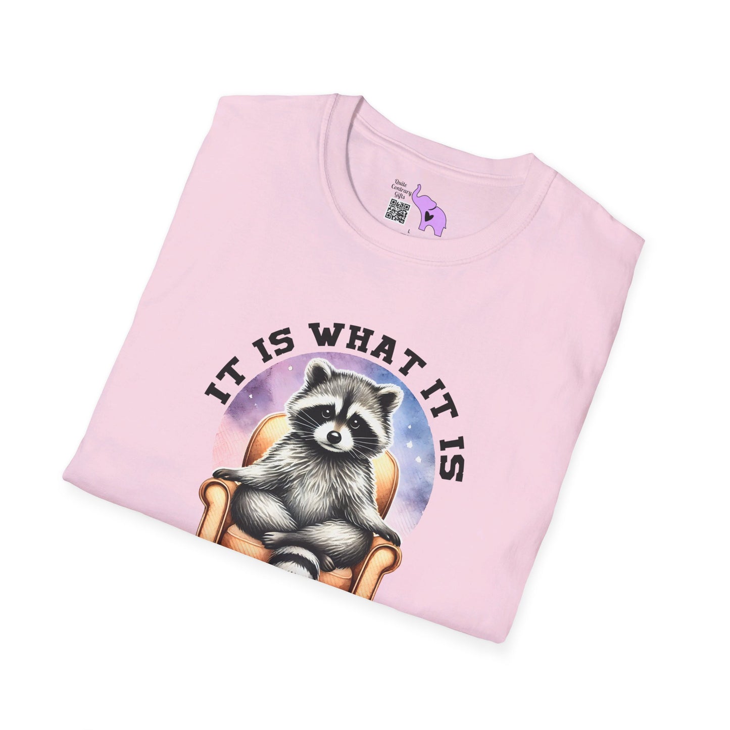 It Is What It Is And It's Not Great Raccoon T-shirt