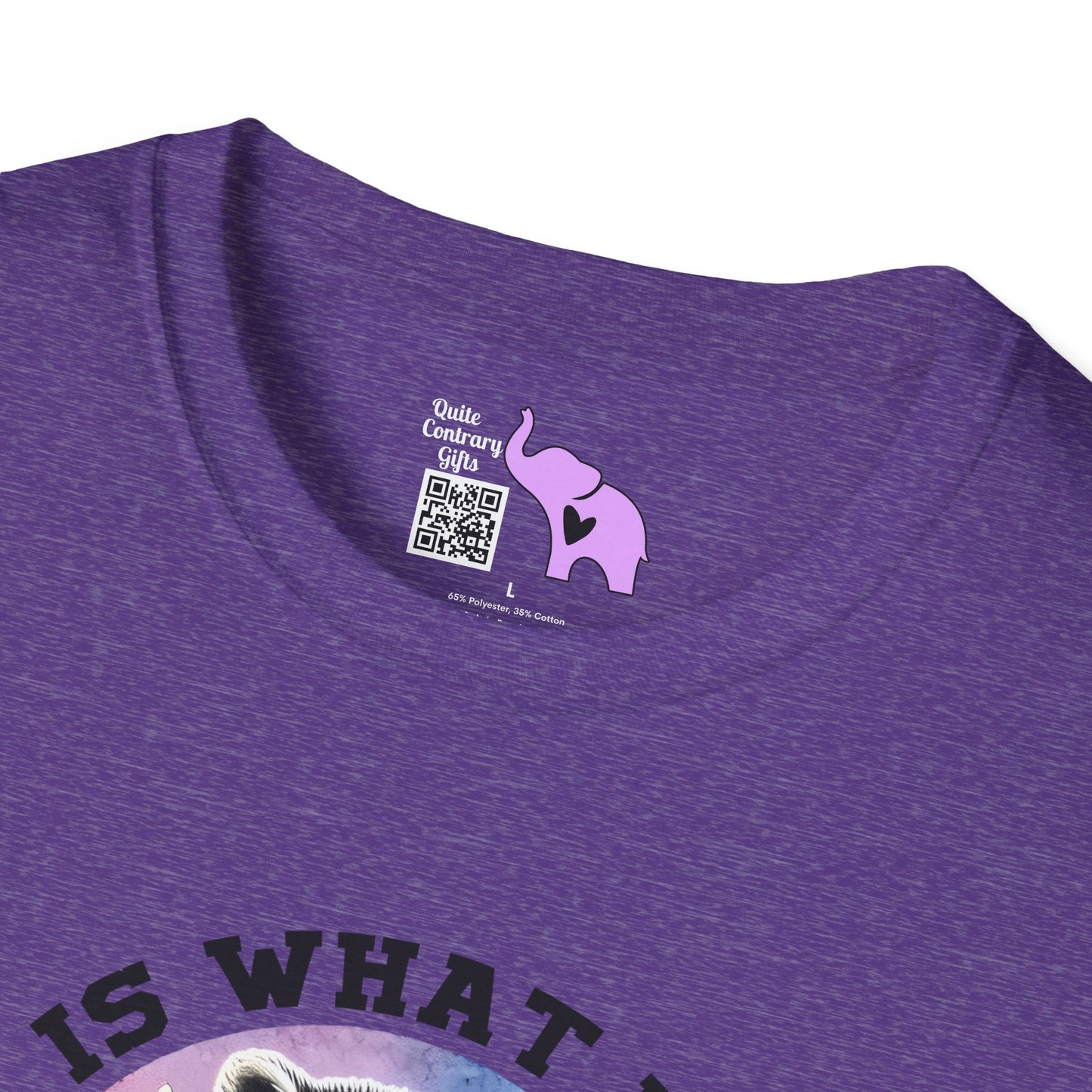 It Is What It Is And It's Not Great Raccoon Adult T-shirt