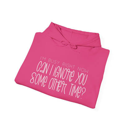 I'm Busy Right Now Can I Ignore You Later? Heavy Blend™ Hooded Sweatshirt