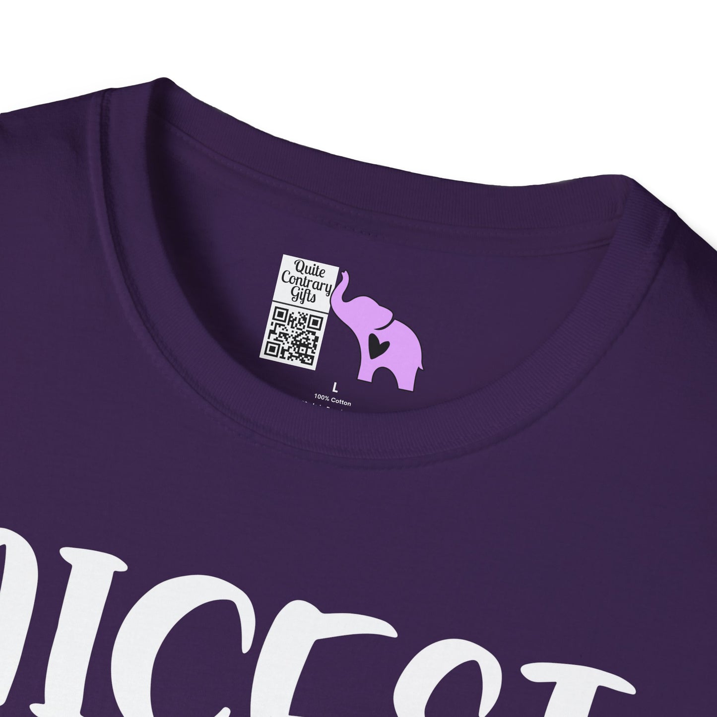 Nicest Mean Person Ever Adult T-shirt