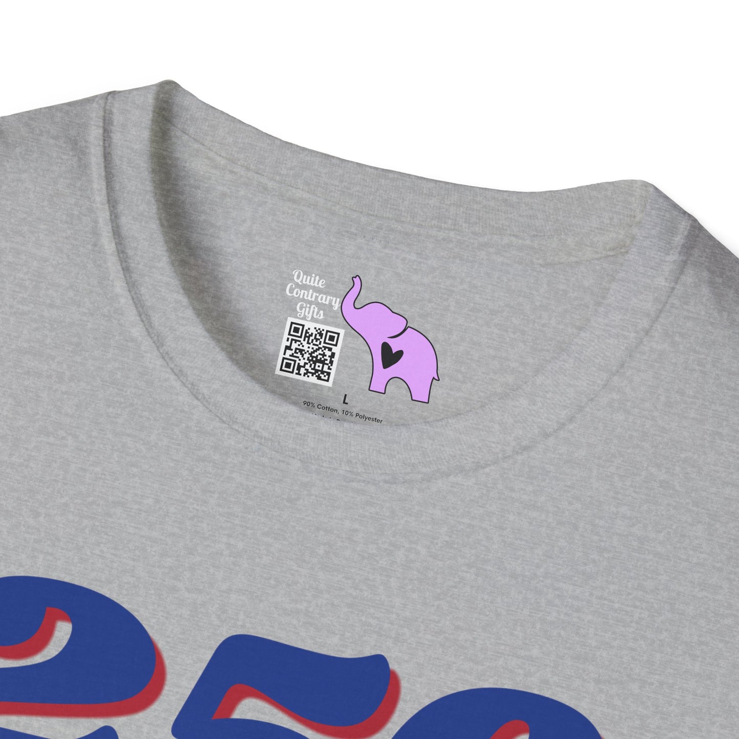 Statue of Liberty 250 1776-2026 Adult T-shirt