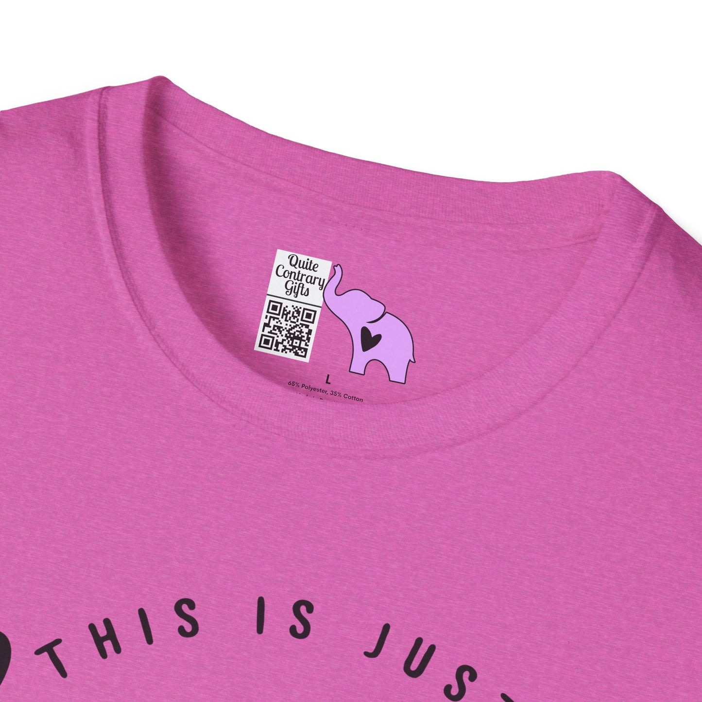 This is Just a Chapter Not The Whole Story Adult T-shirt