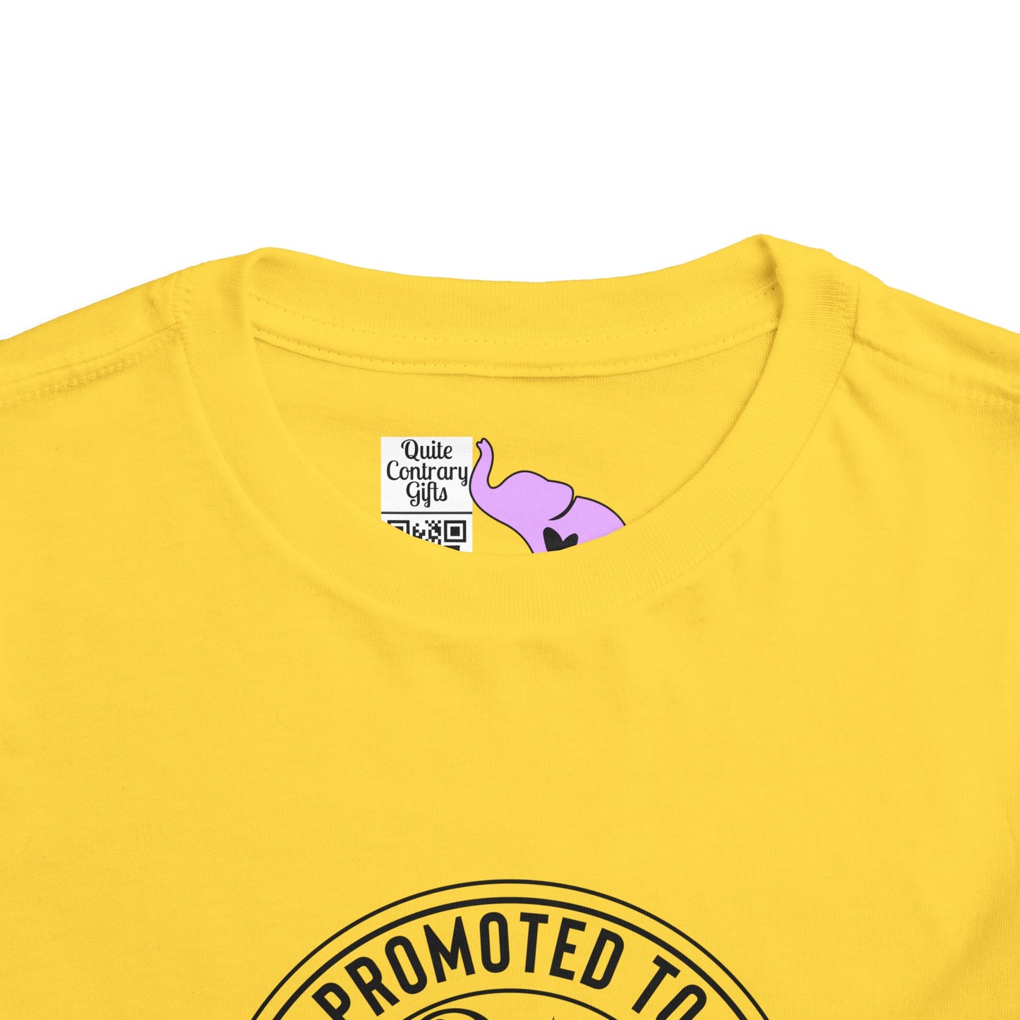 Promoted to Big Brother Again (Circle) Toddler Tee