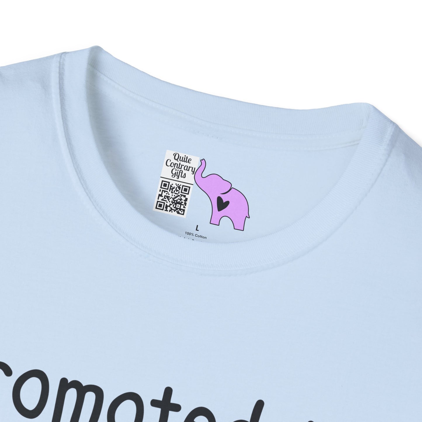 Promoted To Grandma 2026 Adult T-shirt