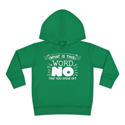 What Is This Word No That You Speak Of? Toddler Hoodie
