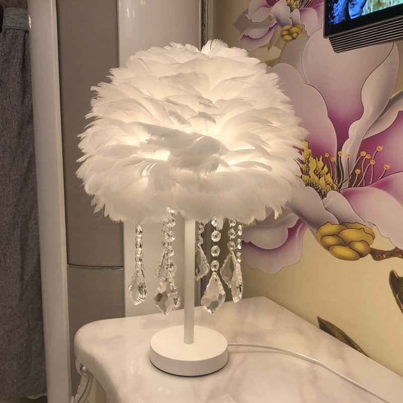 Decorative Feather Lamp w/Crystals