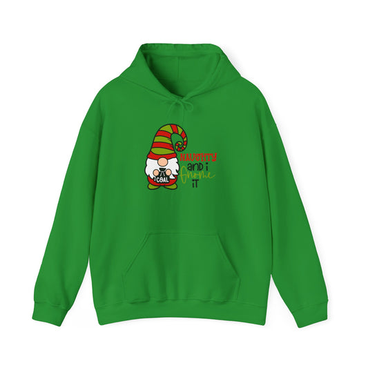 Naughty and I Gnome It Adult Heavy Blend™ Hooded Sweatshirt