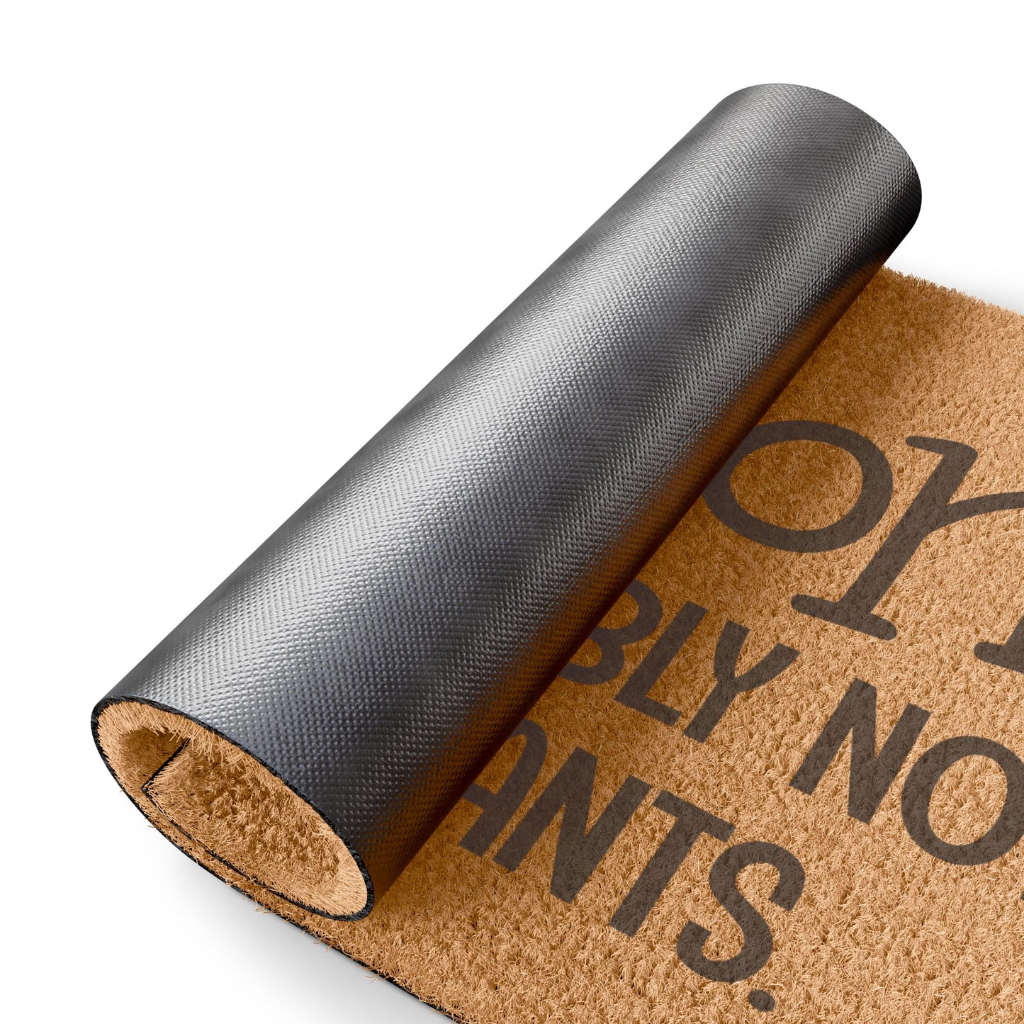 Hold On! We're Probably Not Wearing Pants Coconut Fiber Doormat