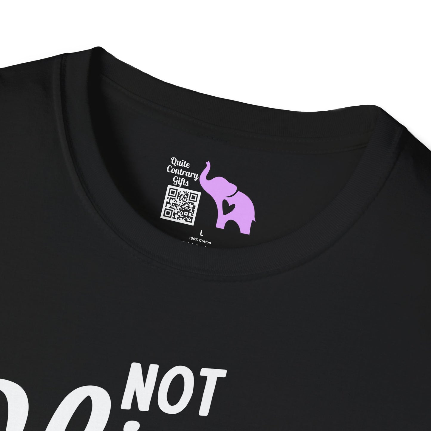 Not Slim Kinda Shady Adult T-shirt