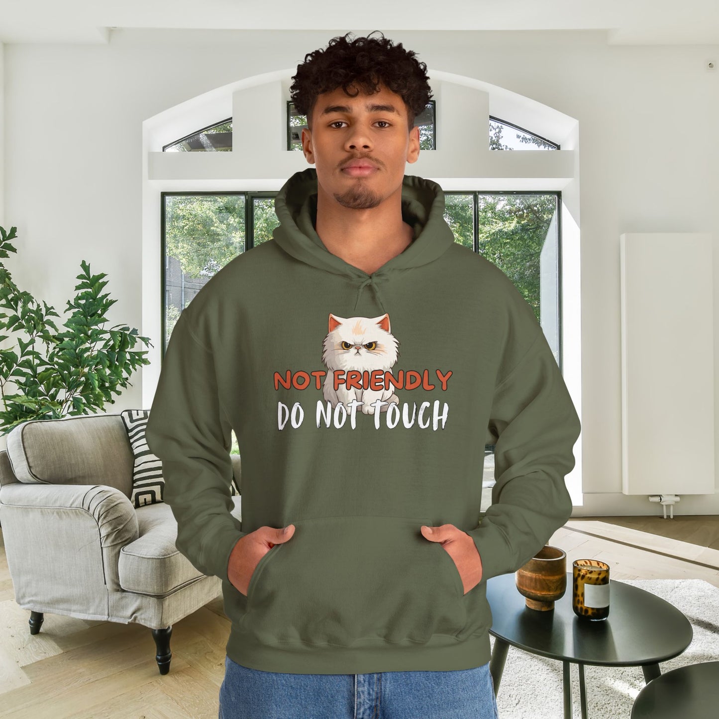 Not Friendly Do Not Touch Cat Heavy Blend™ Hooded Sweatshirt