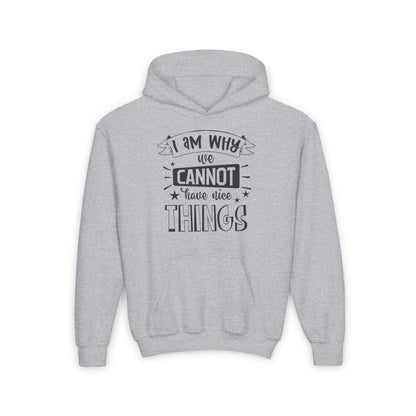 I Am Why We Cannot Have Nice Things Youth Heavy Blend Hoodie