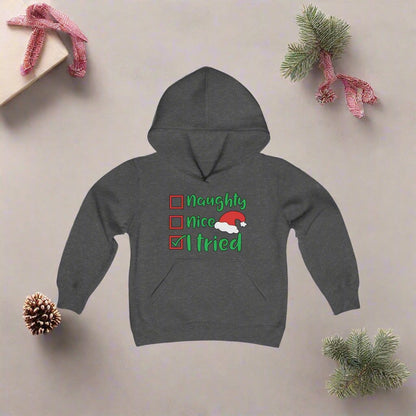 Naughty Nice I Tried Youth Hoodie