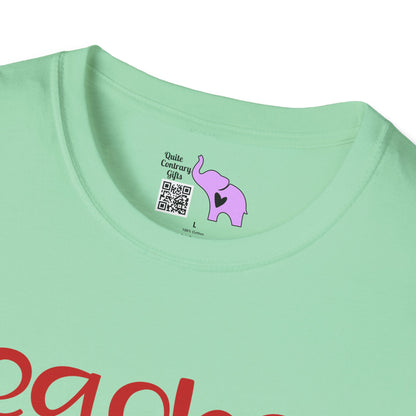 Teacher Vibes Adult T-shirt