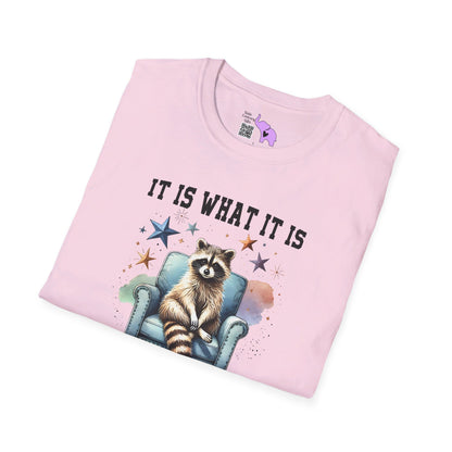 It Is What It Is And It's Not Great Racoon (2) T-shirt