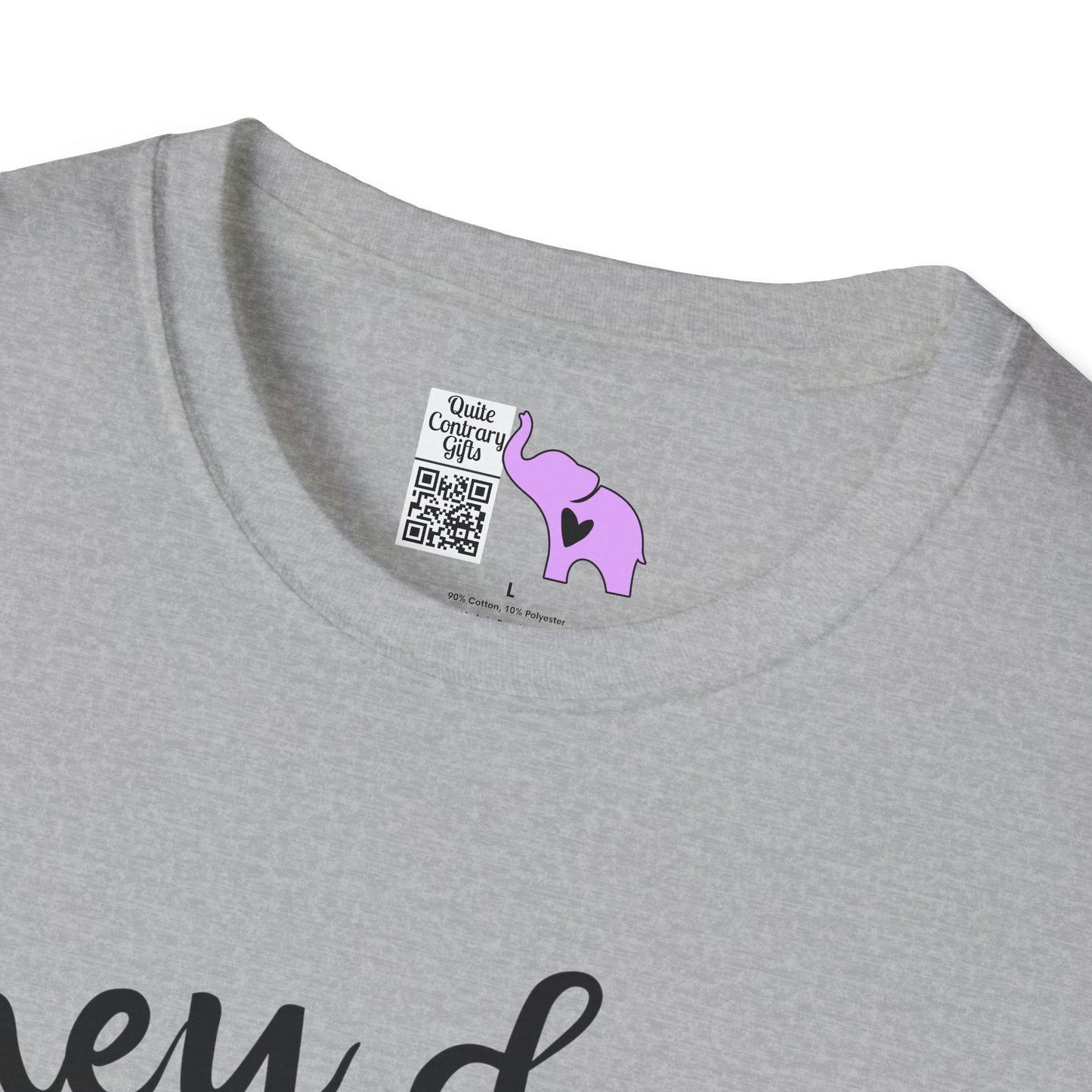 They Don't Pay Me Enough To Care Adult T-shirt