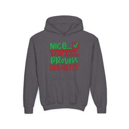 Nice Until Proven Naughty 2 Youth Hoodie