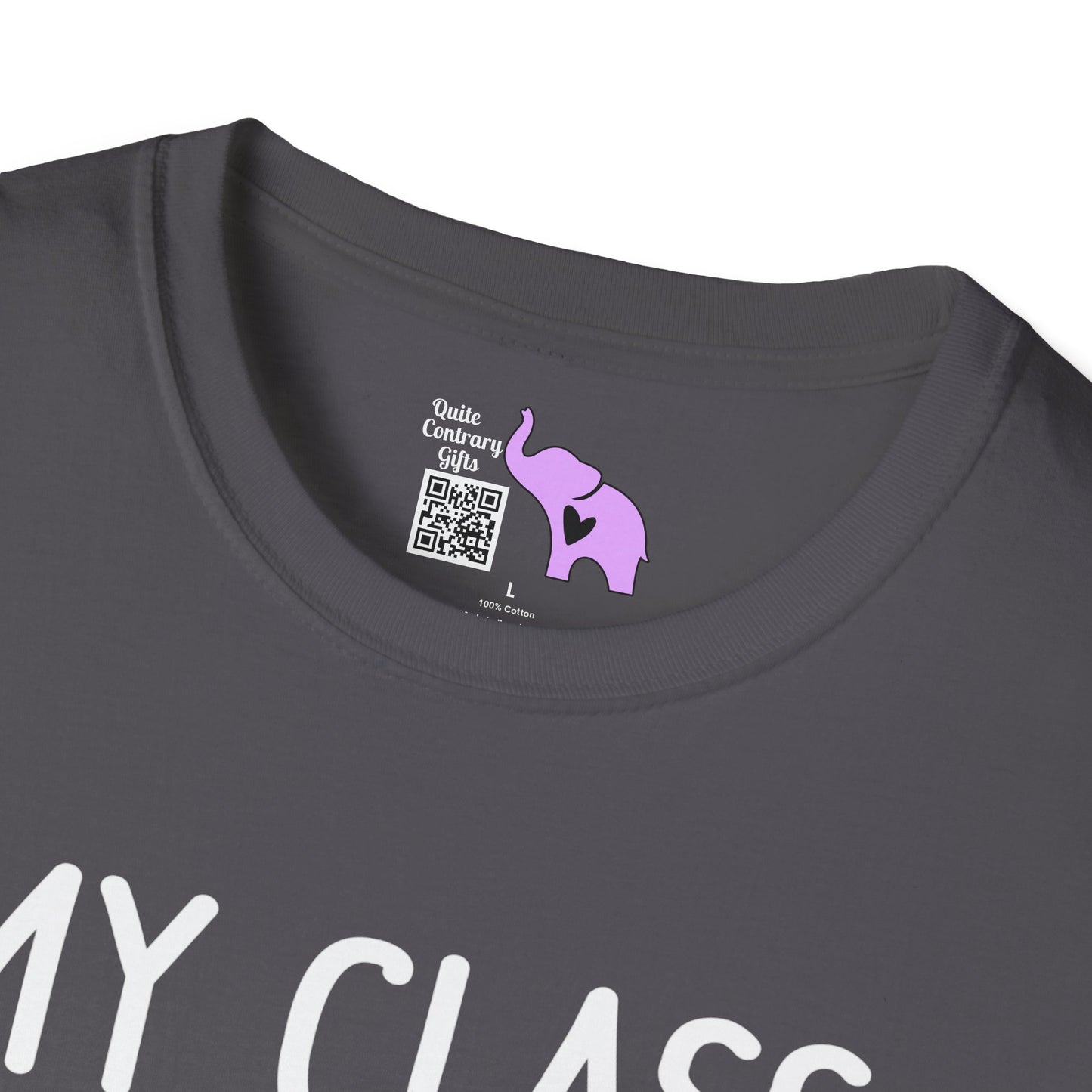 My Class is Full of Sweet Hearts Adult T-shirt