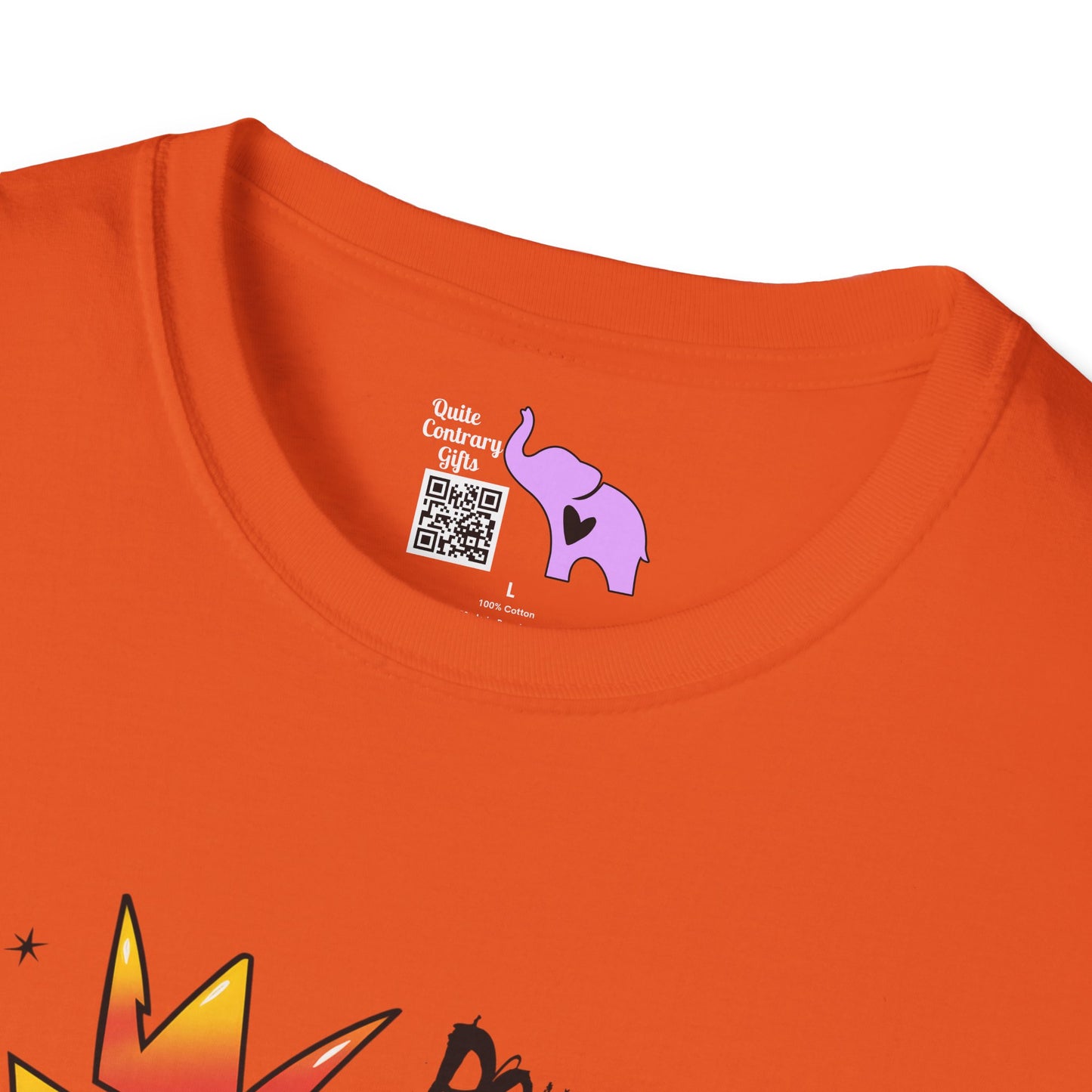 Leo Street Art Adult T-shirt