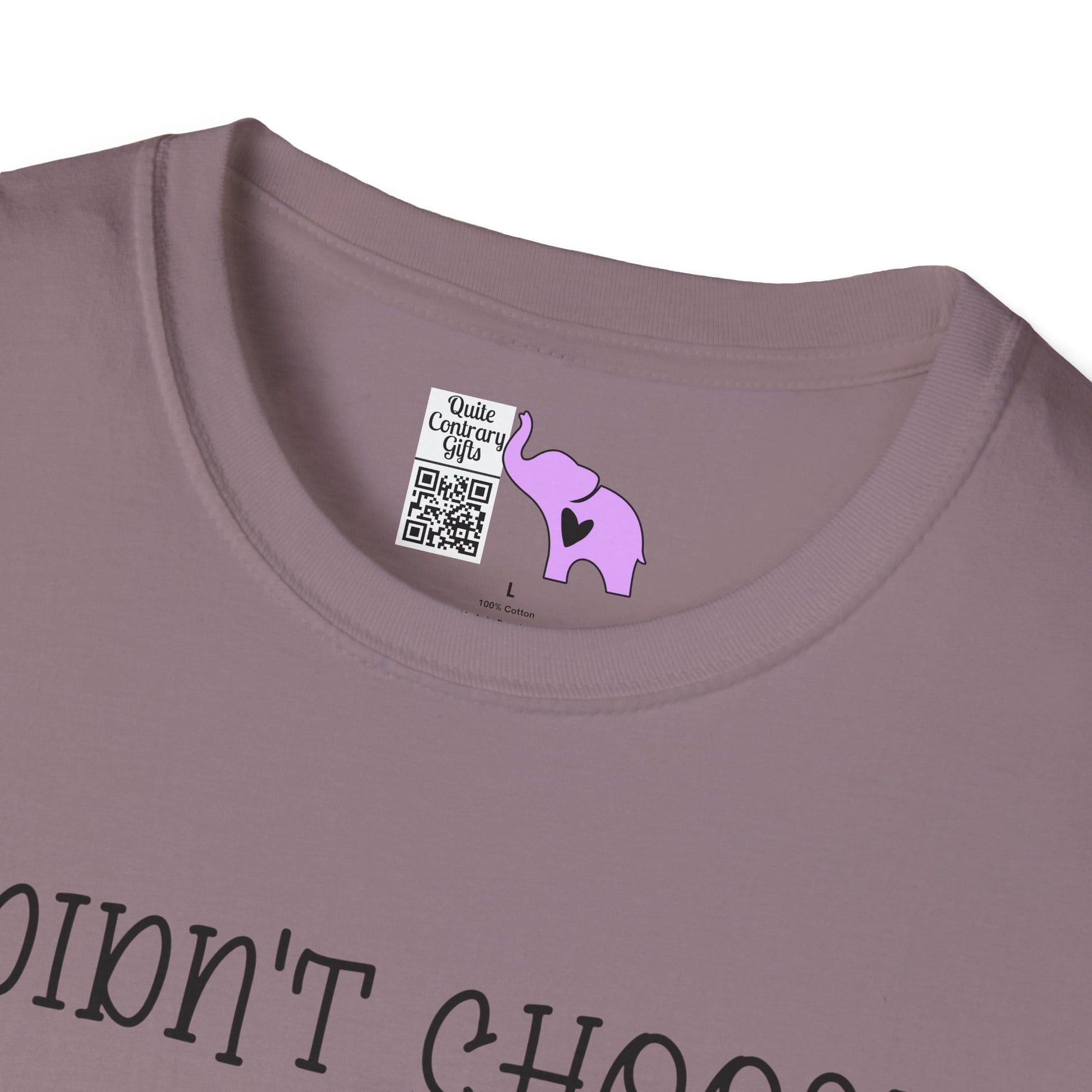 I Didn't Choose The Crazy Cat Lady Life, It Chose Me Adult T-shirt