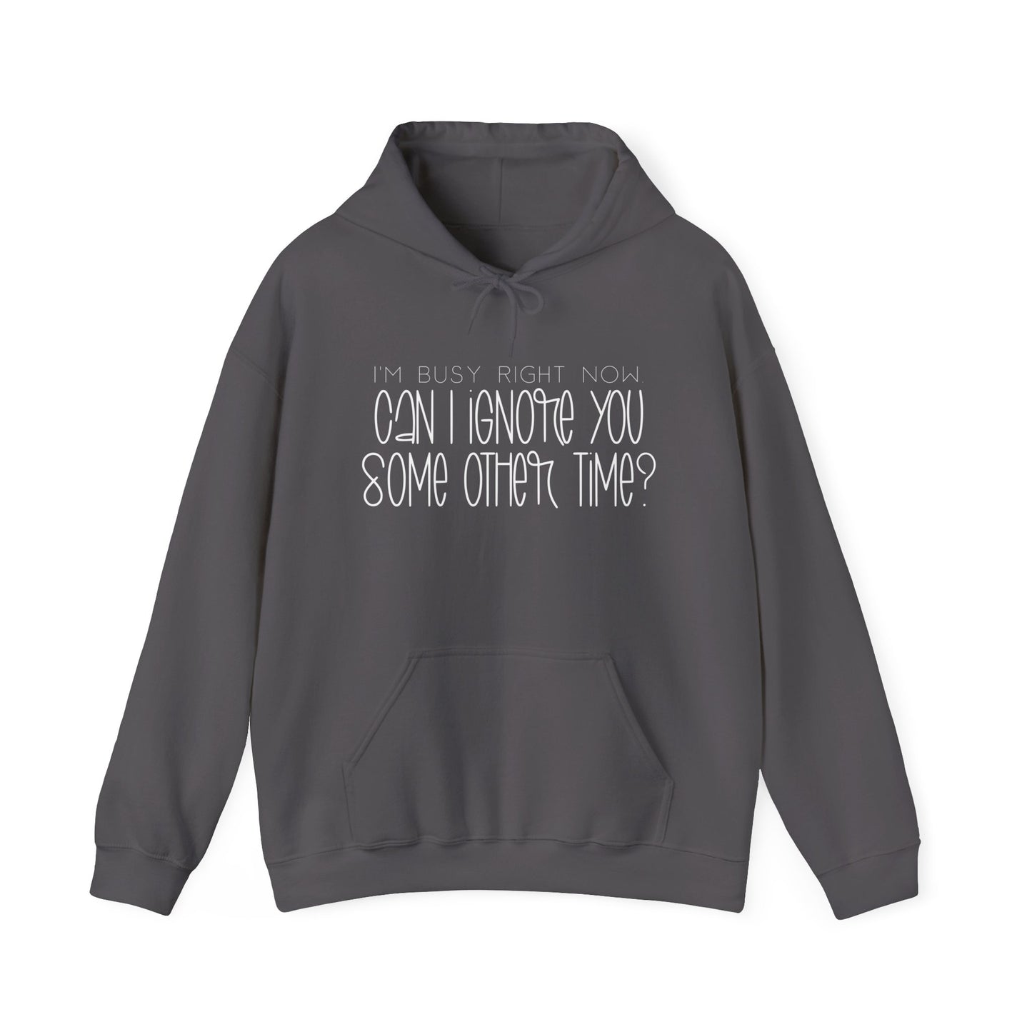 I'm Busy Right Now Can I Ignore You Later? Heavy Blend™ Hooded Sweatshirt