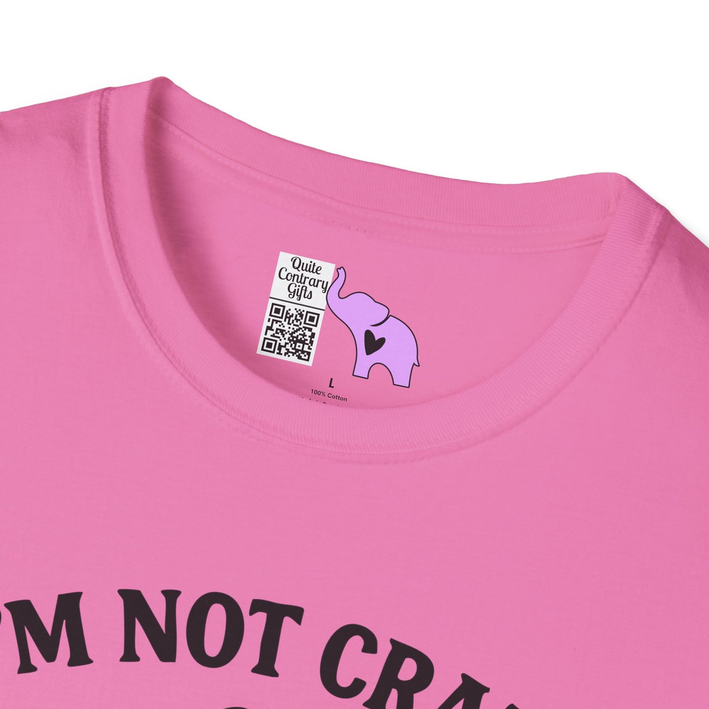 I'm Not Crazy I'm Spicy Adult T-shirt